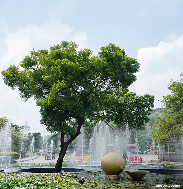 Life Republic Highlights